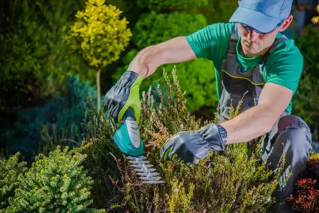 landscaping services New Hebron